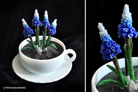 "Muscari"